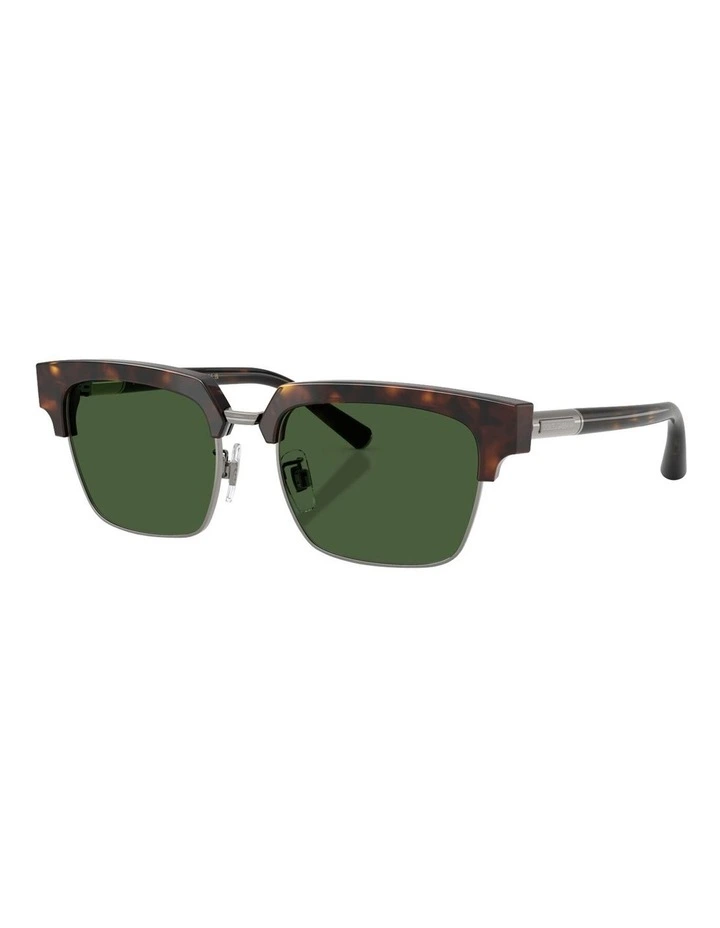 Acetate Sunglasses in Tortoise image 1
