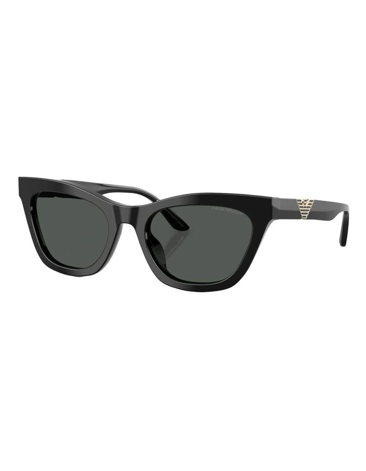 Acetate Sunglasses in Black image 1