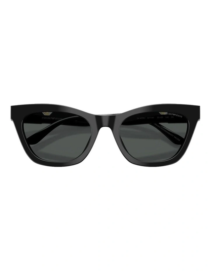 Acetate Sunglasses in Black image 4