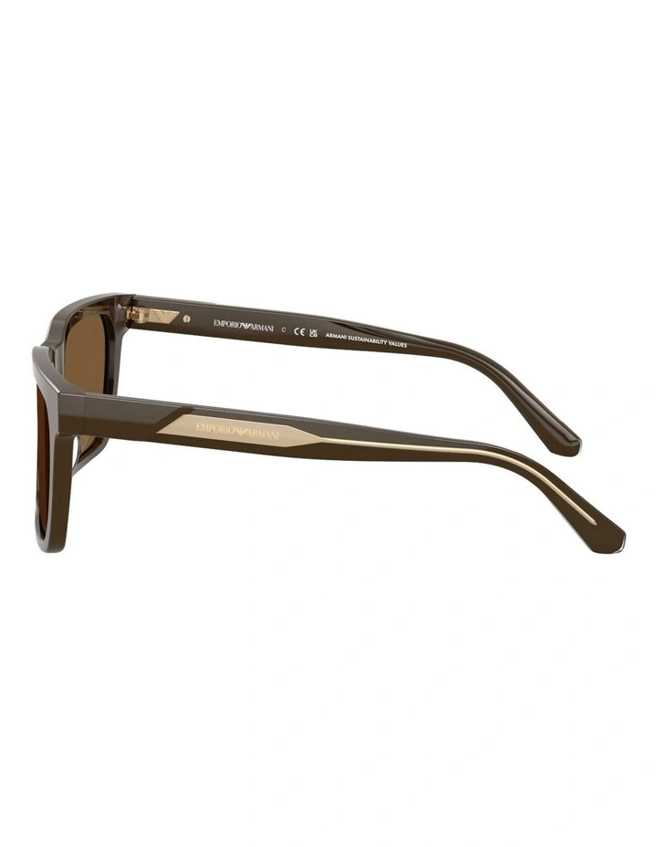 Acetate Sunglasses in Brown image 3