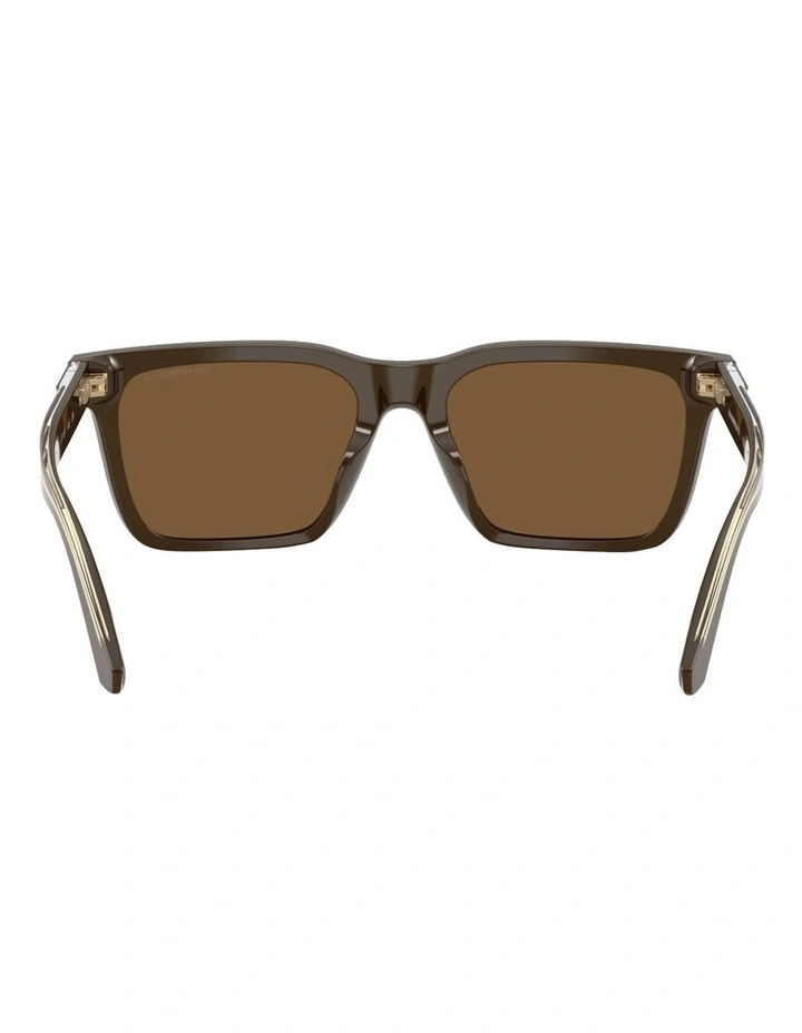 Acetate Sunglasses in Brown image 4