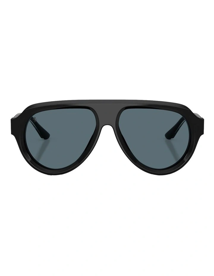 Acetate Sunglasses in Black image 1