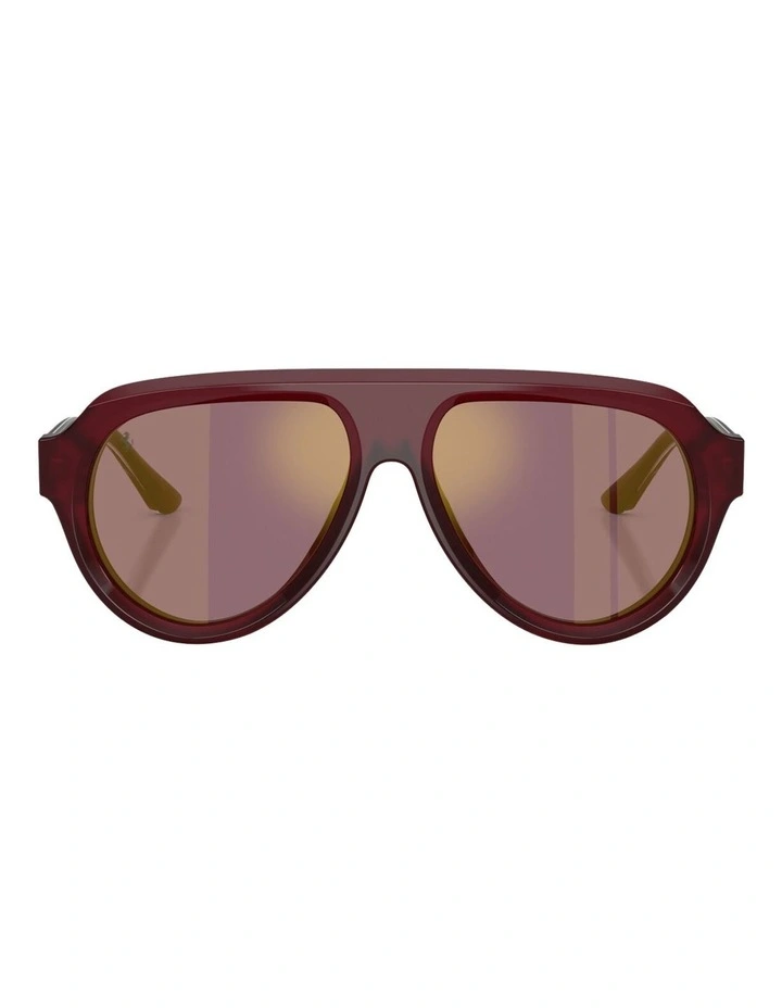 Acetate Polarised Sunglasses in Red image 2