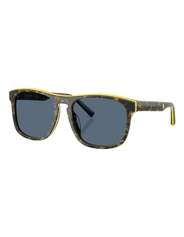 Acetate Sunglasses in Tortoise