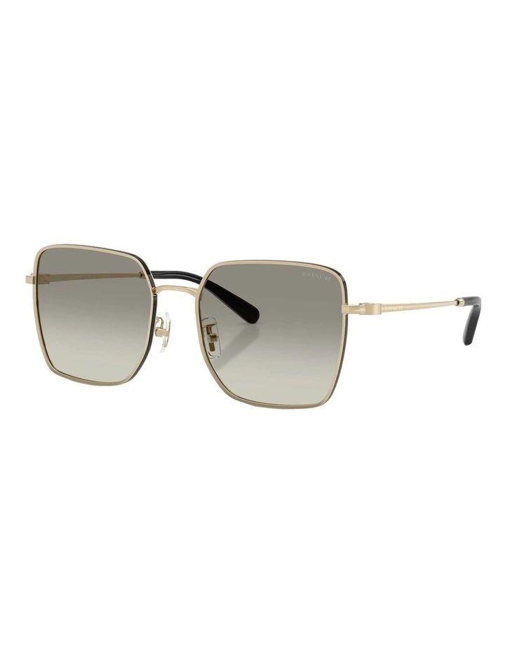 Metal Sunglasses CBZ51 in Gold/Black image 1