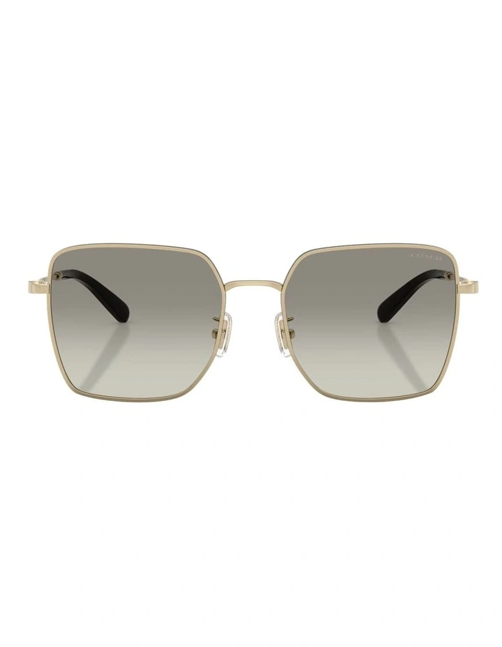 Metal Sunglasses CBZ51 in Gold/Black image 2