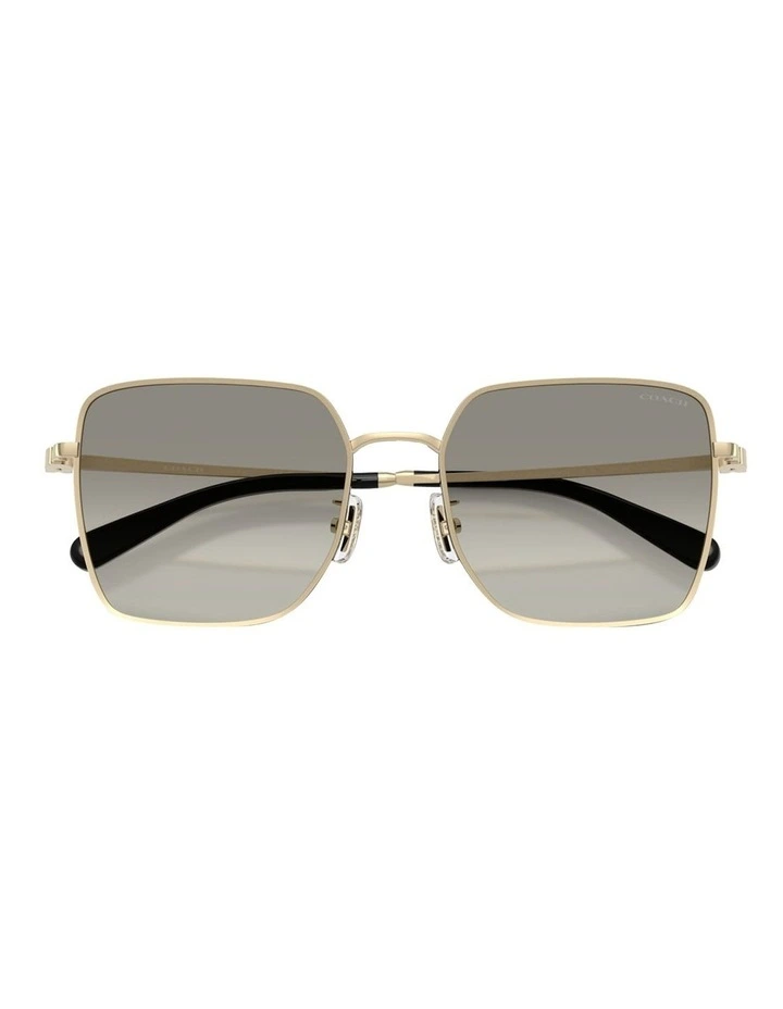 Metal Sunglasses CBZ51 in Gold/Black image 4