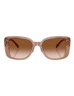 Acetate Sunglasses CD472 in Brown