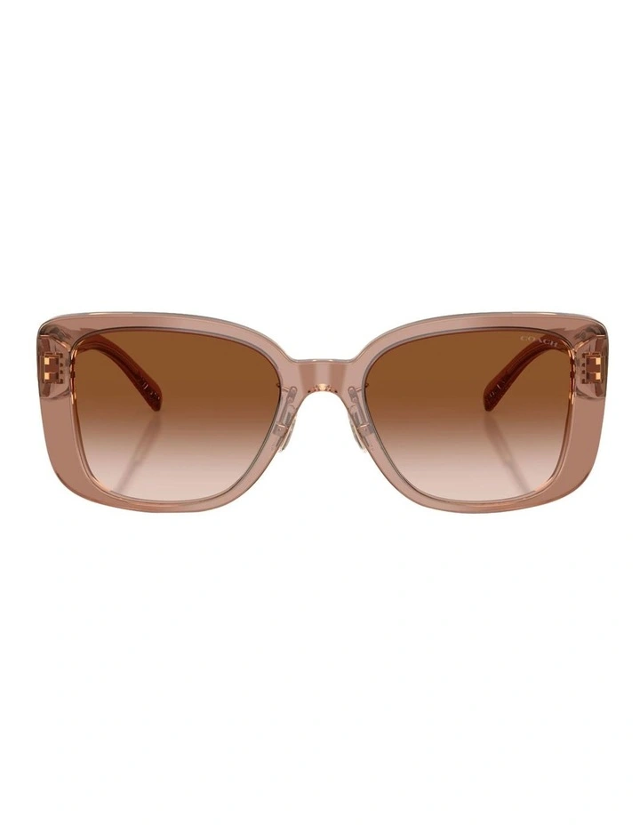 Acetate Sunglasses CD472 in Brown image 1