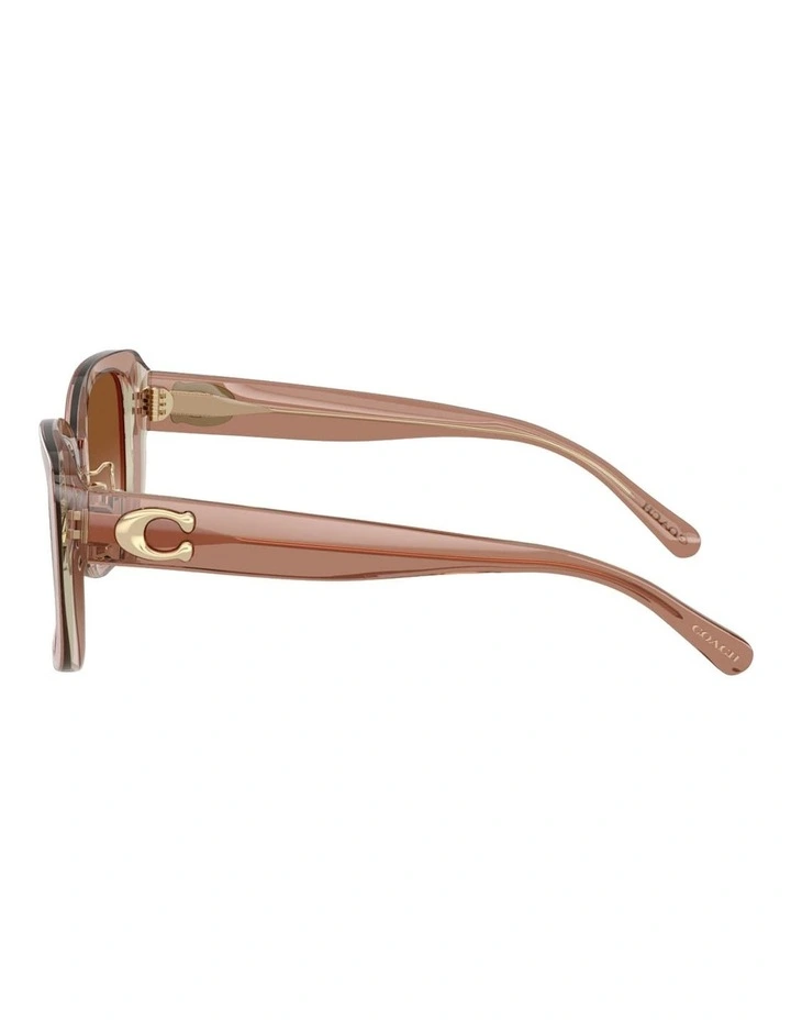 Acetate Sunglasses CD472 in Brown image 2