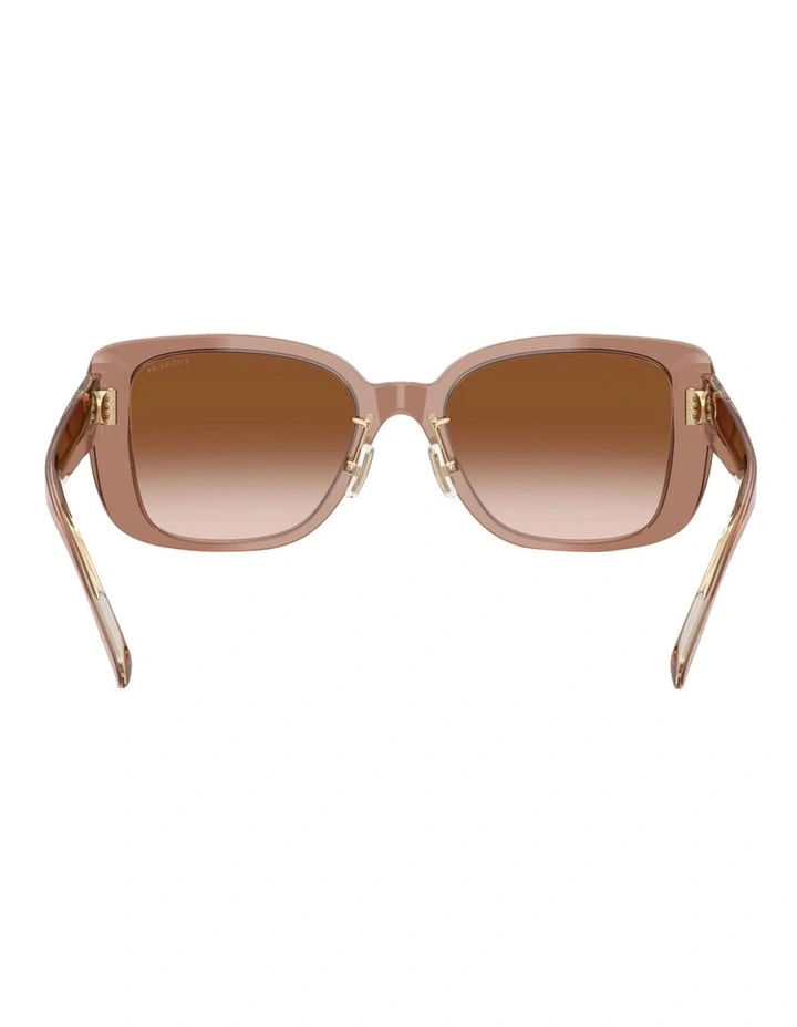 Acetate Sunglasses CD472 in Brown image 3