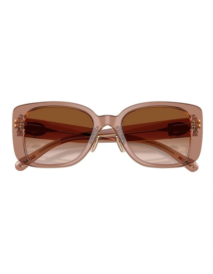 Acetate Sunglasses CD472 in Brown image 4