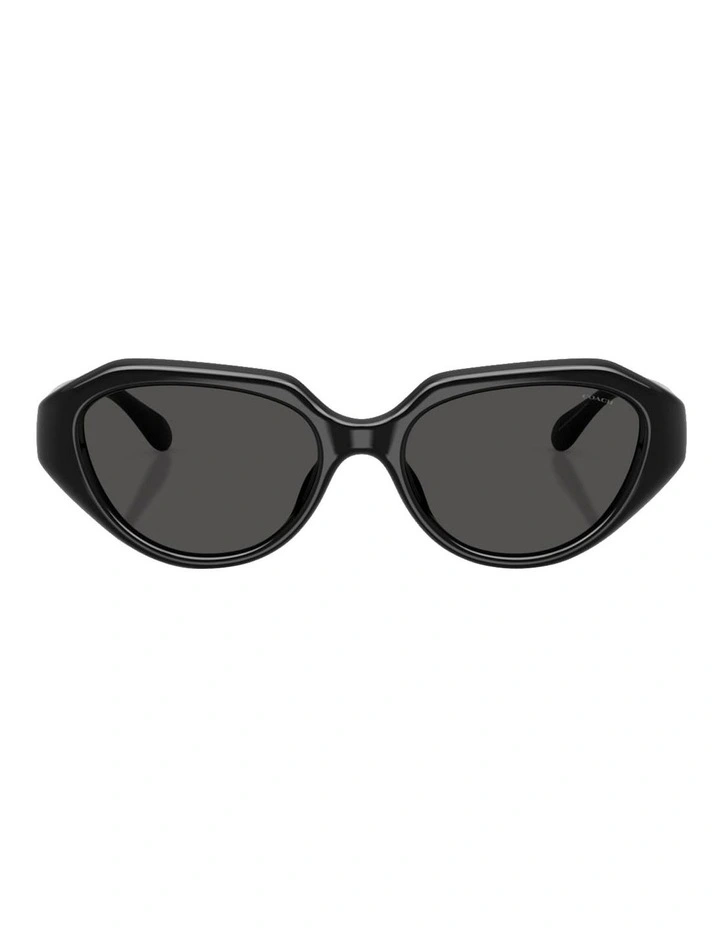 Injected Sunglasses CBY77 in Black image 1
