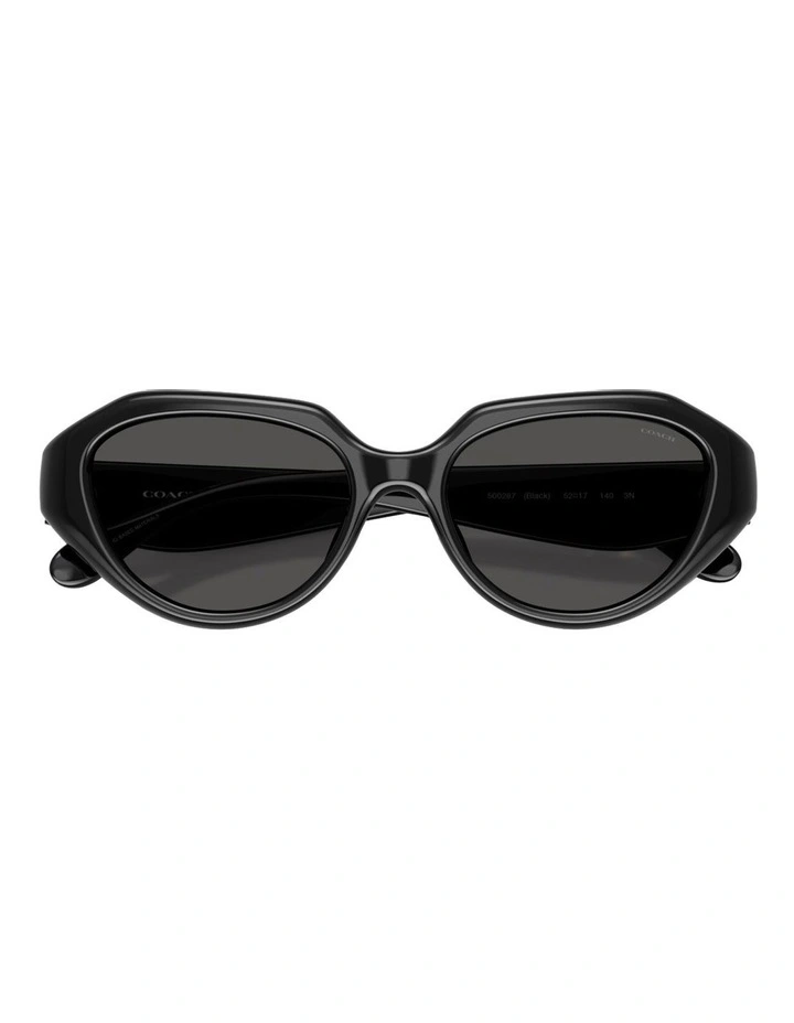 Injected Sunglasses CBY77 in Black image 3