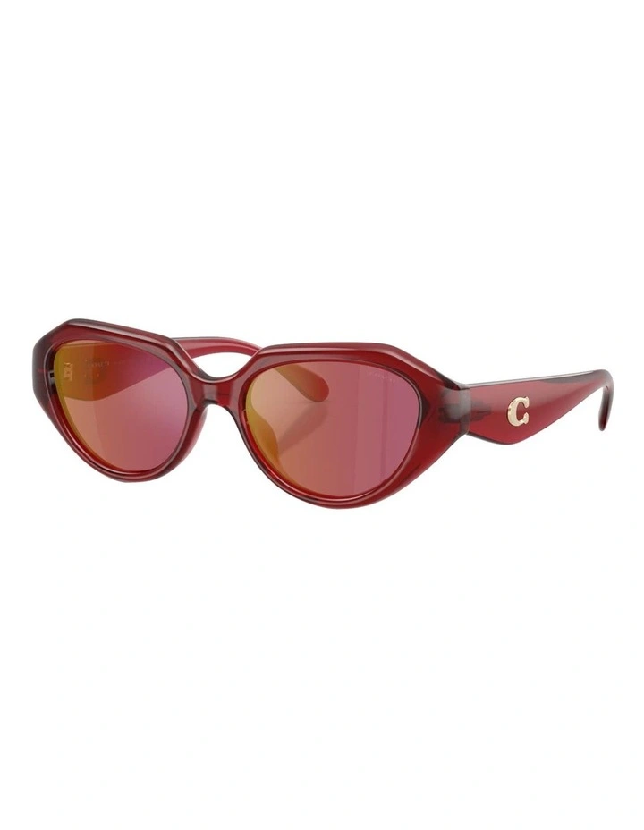 Injected Sunglasses CBY77 in Red image 1