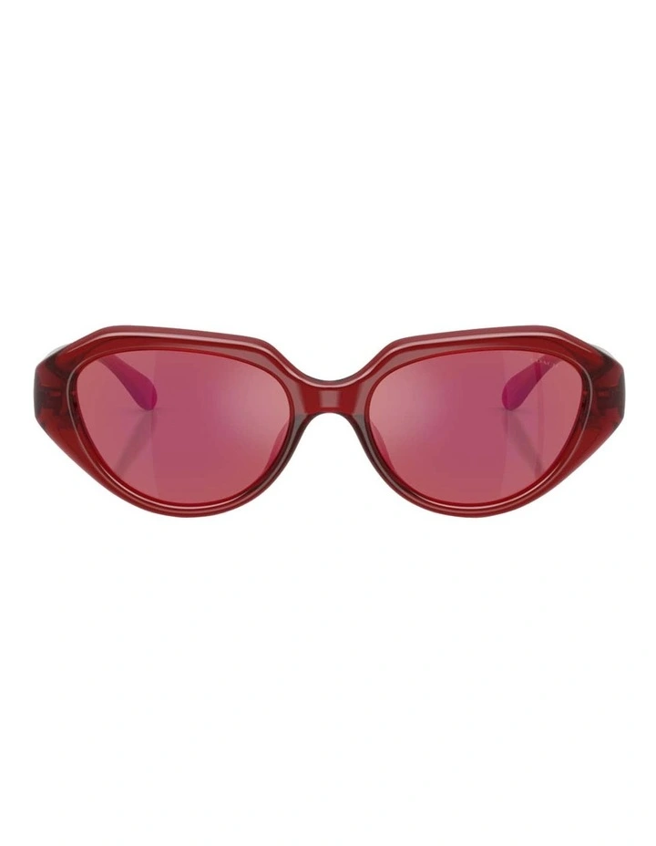 Injected Sunglasses CBY77 in Red image 2