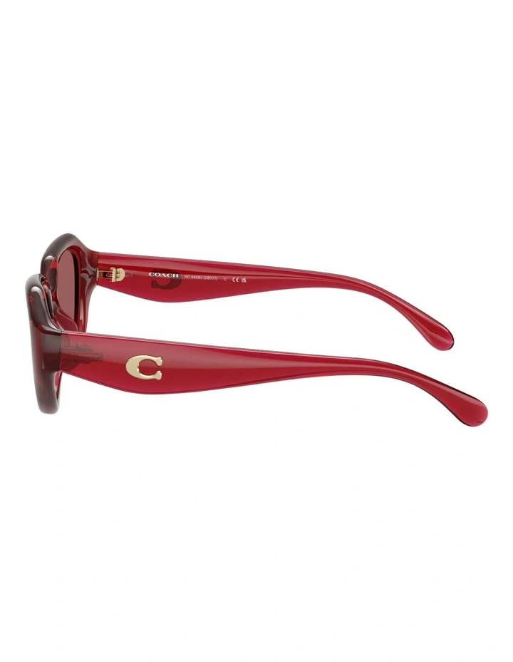 Injected Sunglasses CBY77 in Red image 3