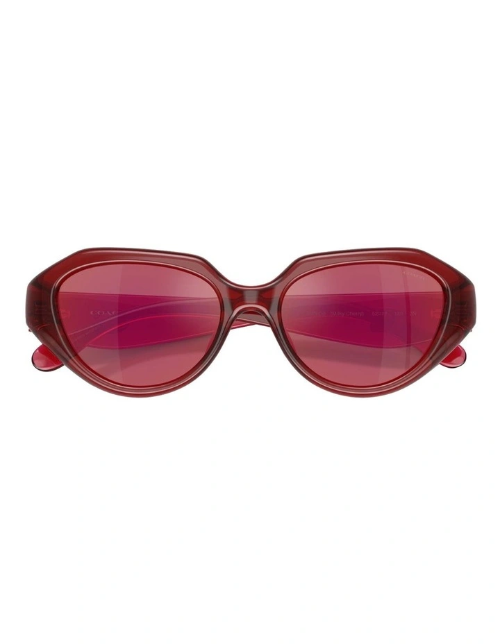 Injected Sunglasses CBY77 in Red image 4