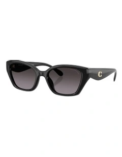 Injected Polarised Sunglasses CBY91 in Black
