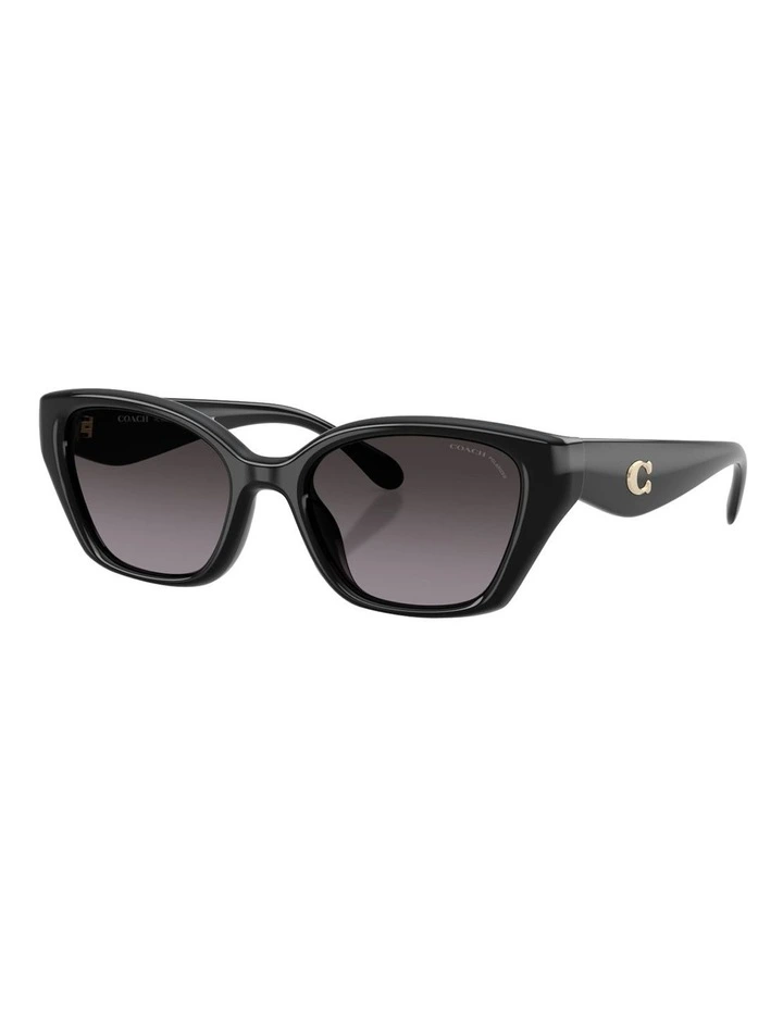 Injected Polarised Sunglasses CBY91 in Black image 1