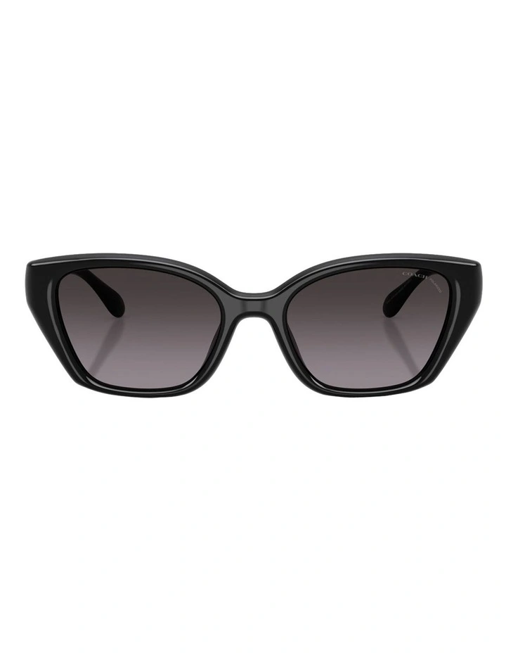 Injected Polarised Sunglasses CBY91 in Black image 2