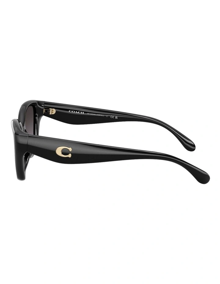 Injected Polarised Sunglasses CBY91 in Black image 3