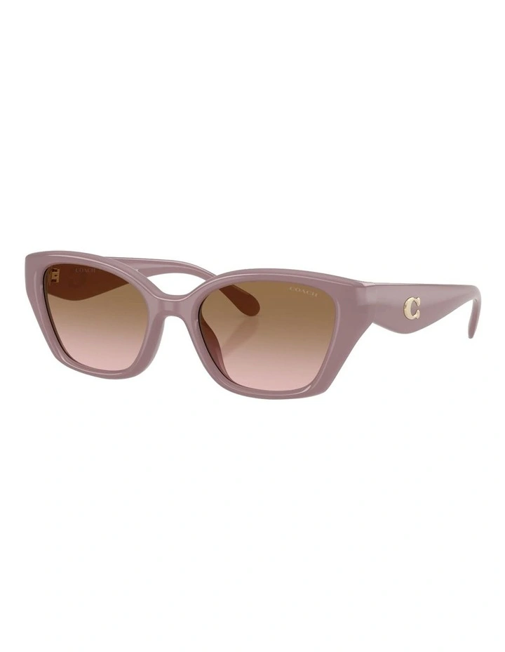 Injected Sunglasses CBY91 in Brown image 1