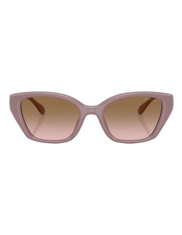 Injected Sunglasses CBY91 in Brown image 2
