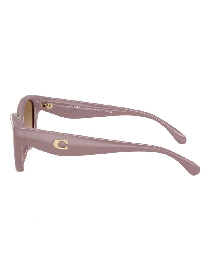 Injected Sunglasses CBY91 in Brown image 3