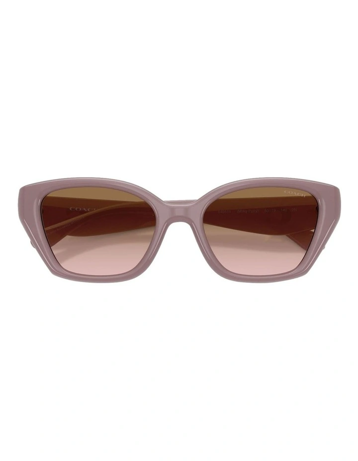 Injected Sunglasses CBY91 in Brown image 4