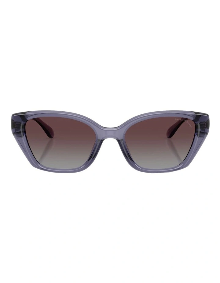 Injected Polarised Sunglasses CBY91 in Violet image 1