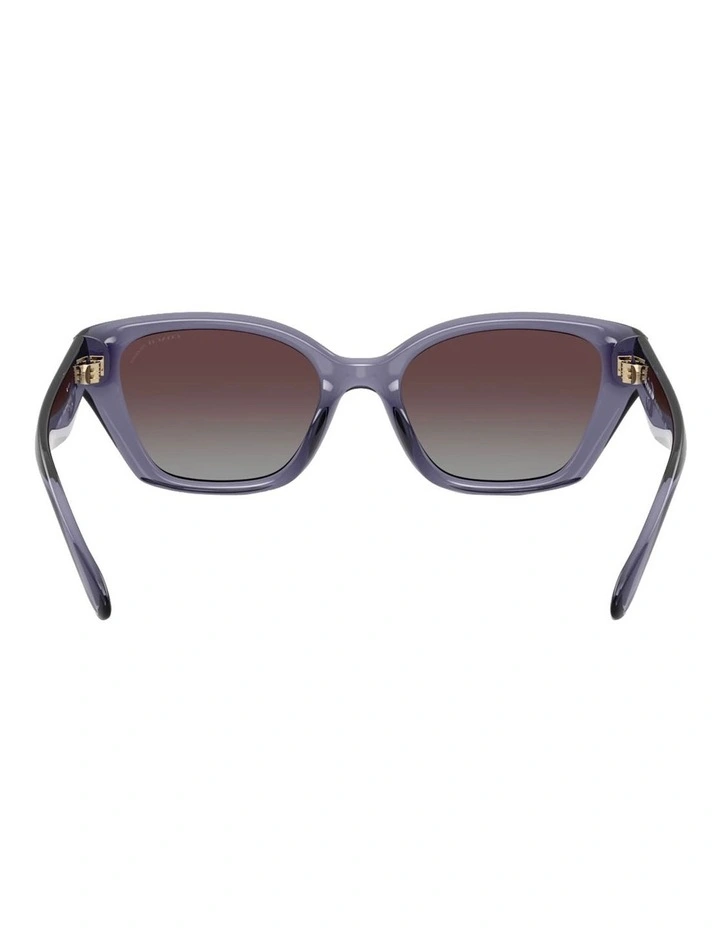 Injected Polarised Sunglasses CBY91 in Violet image 2