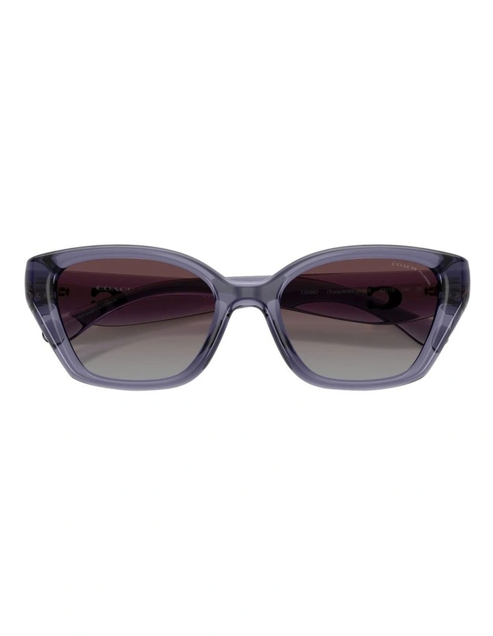 Injected Polarised Sunglasses CBY91 in Violet image 3