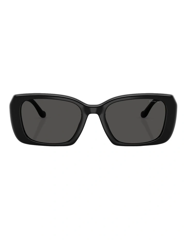 Injected Sunglasses CBY82 in Black image 2