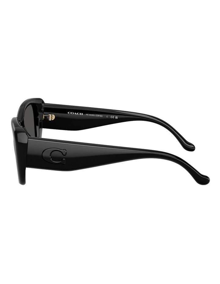Injected Sunglasses CBY82 in Black image 3