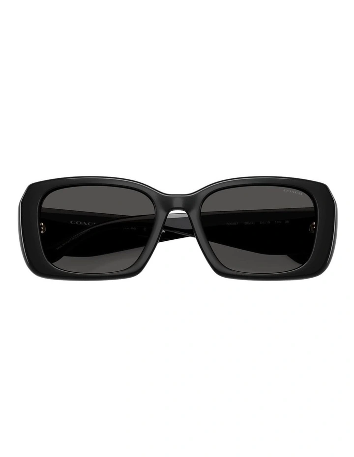 Injected Sunglasses CBY82 in Black image 4