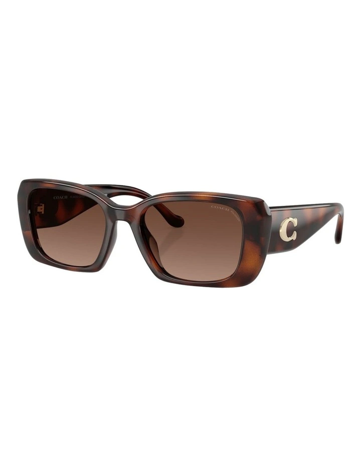Injected Polarised Sunglasses CBY82 in Tortoise image 1