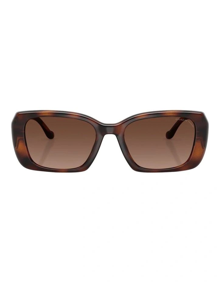 Injected Polarised Sunglasses CBY82 in Tortoise image 2