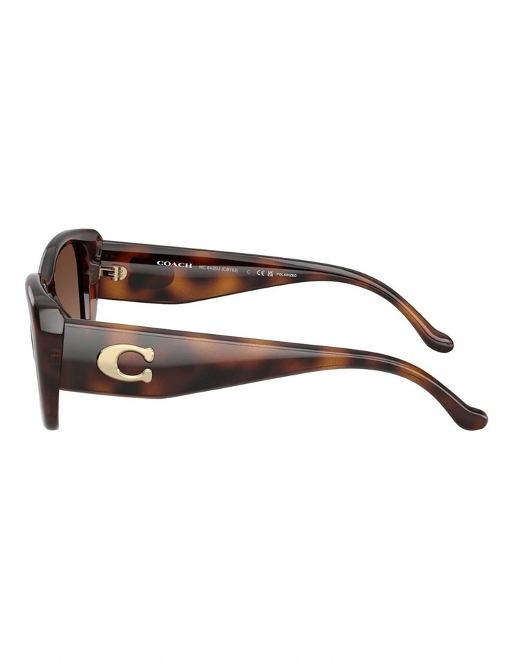 Injected Polarised Sunglasses CBY82 in Tortoise image 3