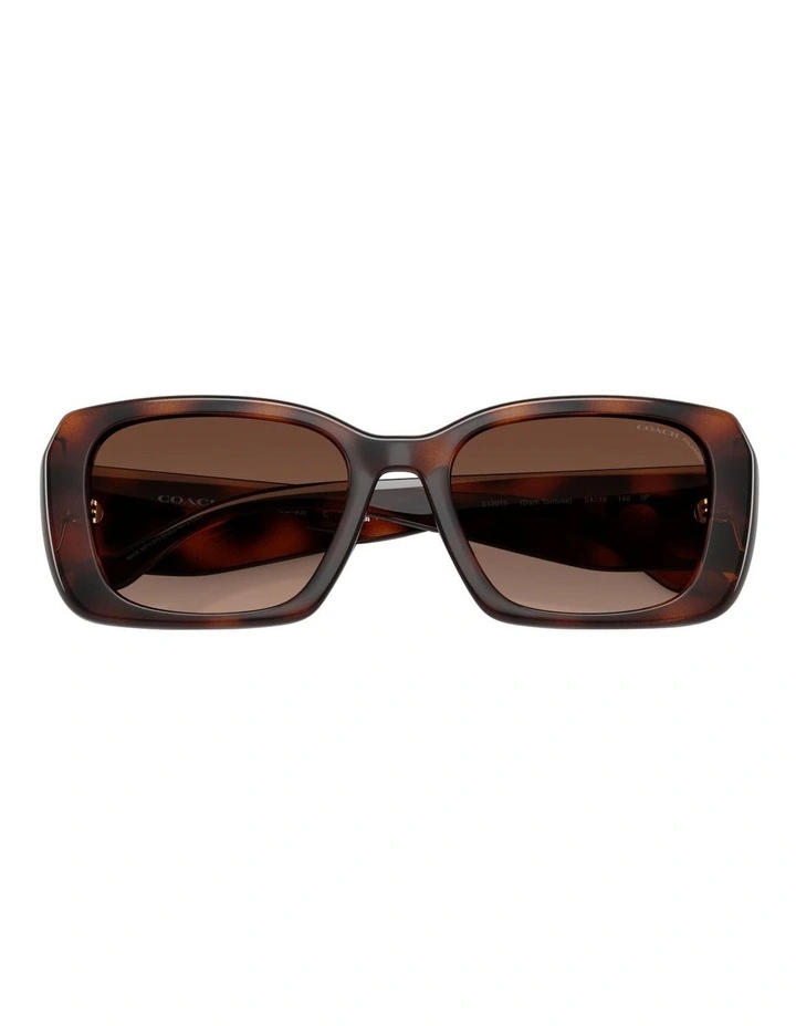 Injected Polarised Sunglasses CBY82 in Tortoise image 4