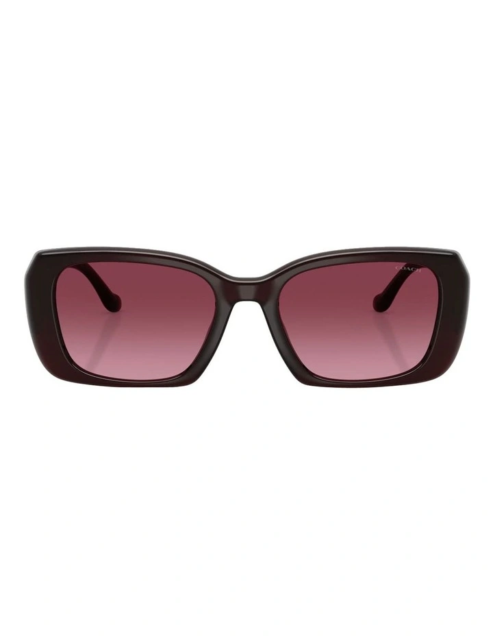 Injected Sunglasses CBY82 in Red image 2