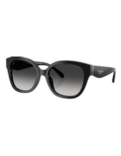 Acetate Sunglasses CBY94 in Black