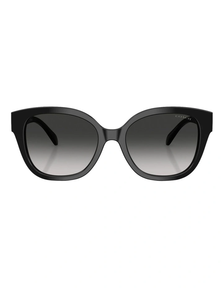 Acetate Sunglasses CBY94 in Black image 2
