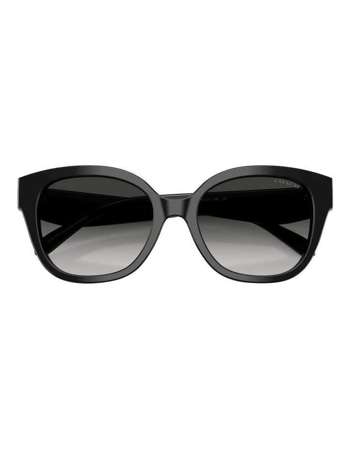 Acetate Sunglasses CBY94 in Black image 4