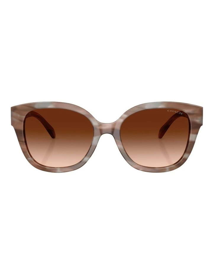 Acetate Sunglasses CBY94 in Brown image 2