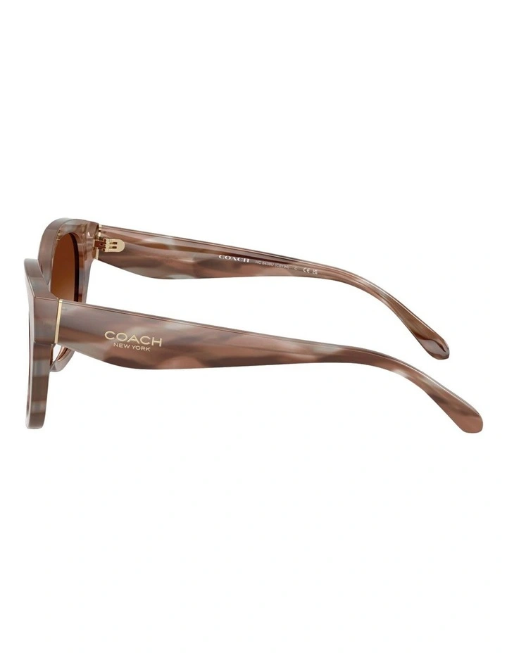 Acetate Sunglasses CBY94 in Brown image 3
