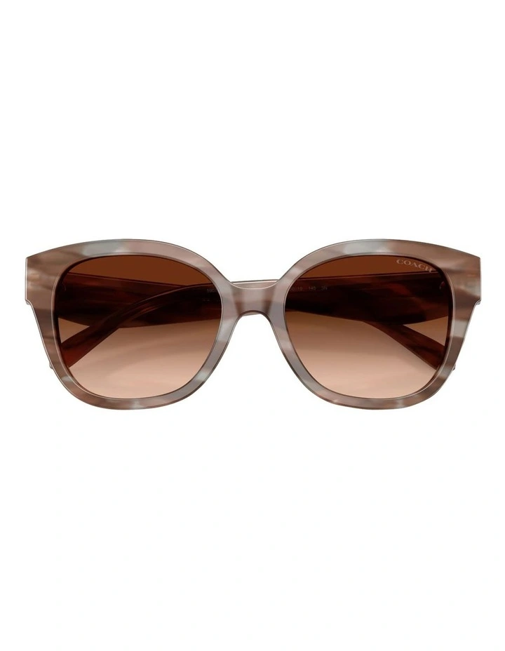 Acetate Sunglasses CBY94 in Brown image 4