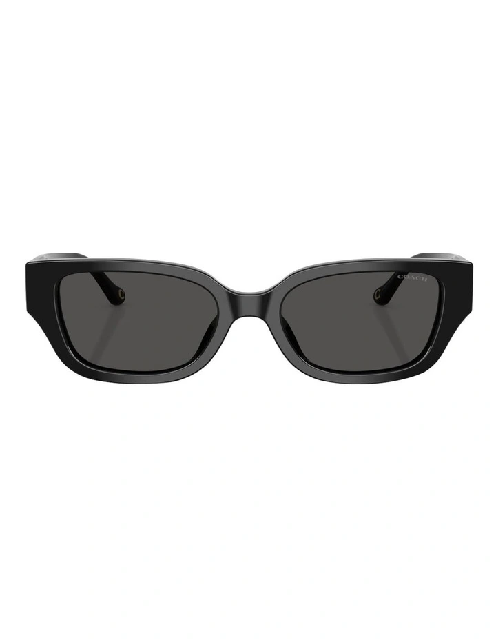 Acetate Sunglasses CBZ52 in Black image 2
