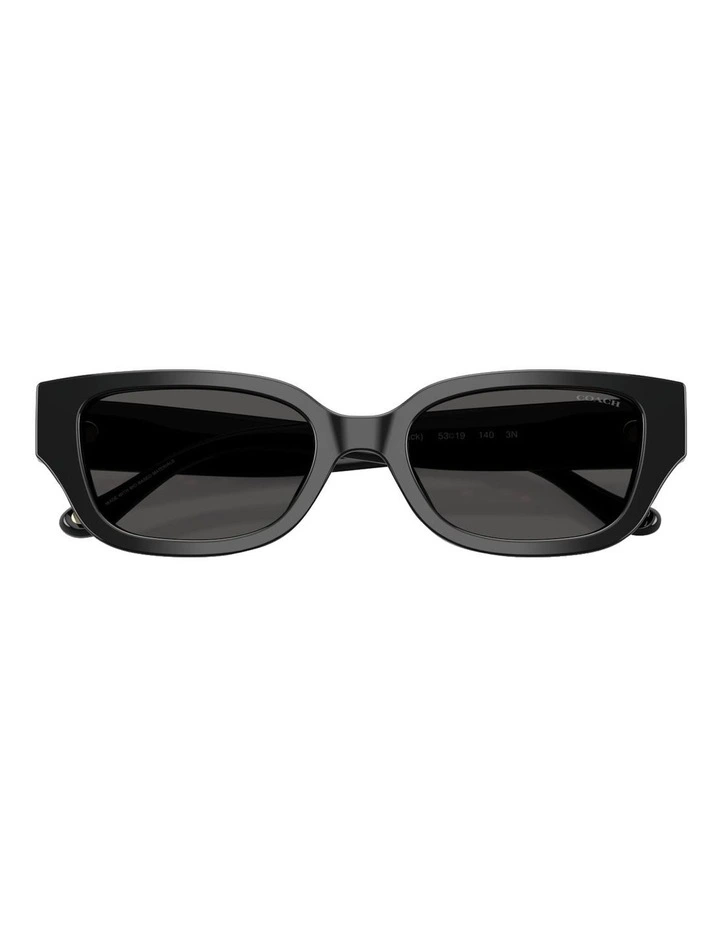 Acetate Sunglasses CBZ52 in Black image 4