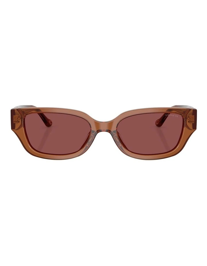 Acetate Sunglasses CBZ52 in Brown image 2